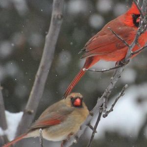 Meet your Posher, Vicki